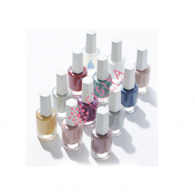 FSY703 Nail Polish Morandi Color Palette